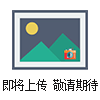 轉(zhuǎn)子密封墊/7725I閥轉(zhuǎn)子密封墊（VESPEL）pH范圍0-10